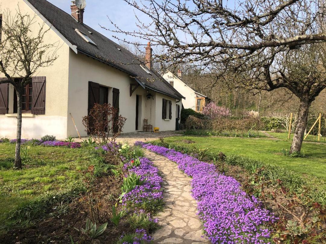 Le Clos Fleuri - Chambres D'Hotes Onzain Zewnętrze zdjęcie